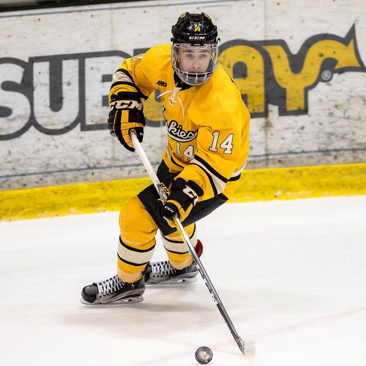 MICHIGAN TECH